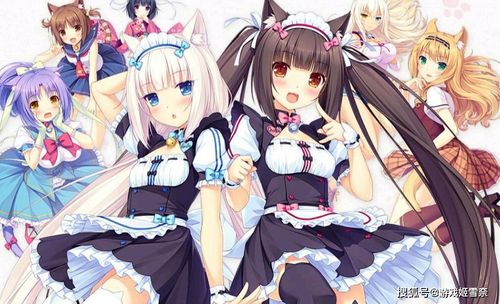兩款藏品級(jí)的galgame,沒玩過(guò)還敢說(shuō)自己是二次元